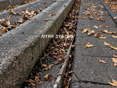 Before and after gutter cleaning service