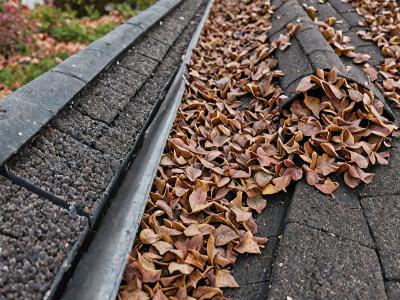 Gutter guard protection system installed